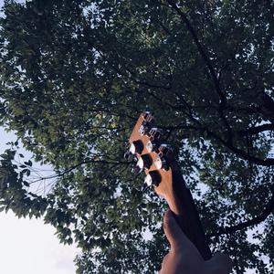 91探花在线播放1区2区3区
